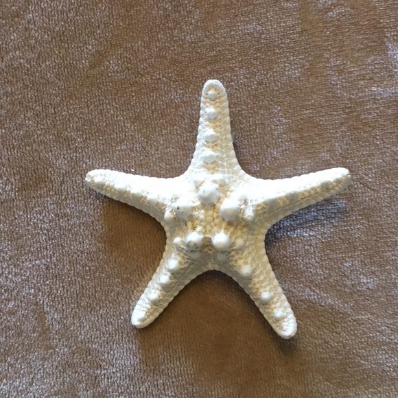 Accessories - HAND MADE STARFISH HAIR PIECE